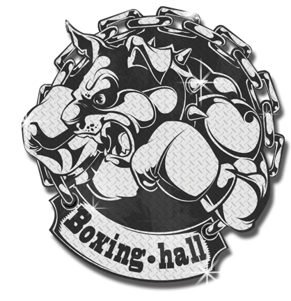 Боксёрский зал в Солнцево - Boxing Hall